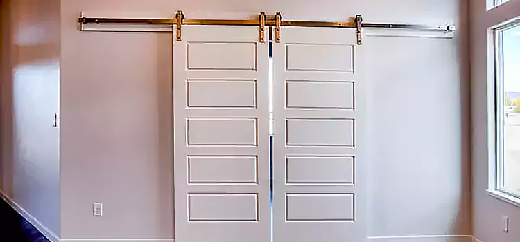 Glass Barn Door with Installation Hardware Kit Hollywood
