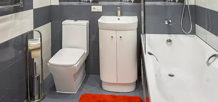 Hansgrohe Shaving Mirror Hollywood